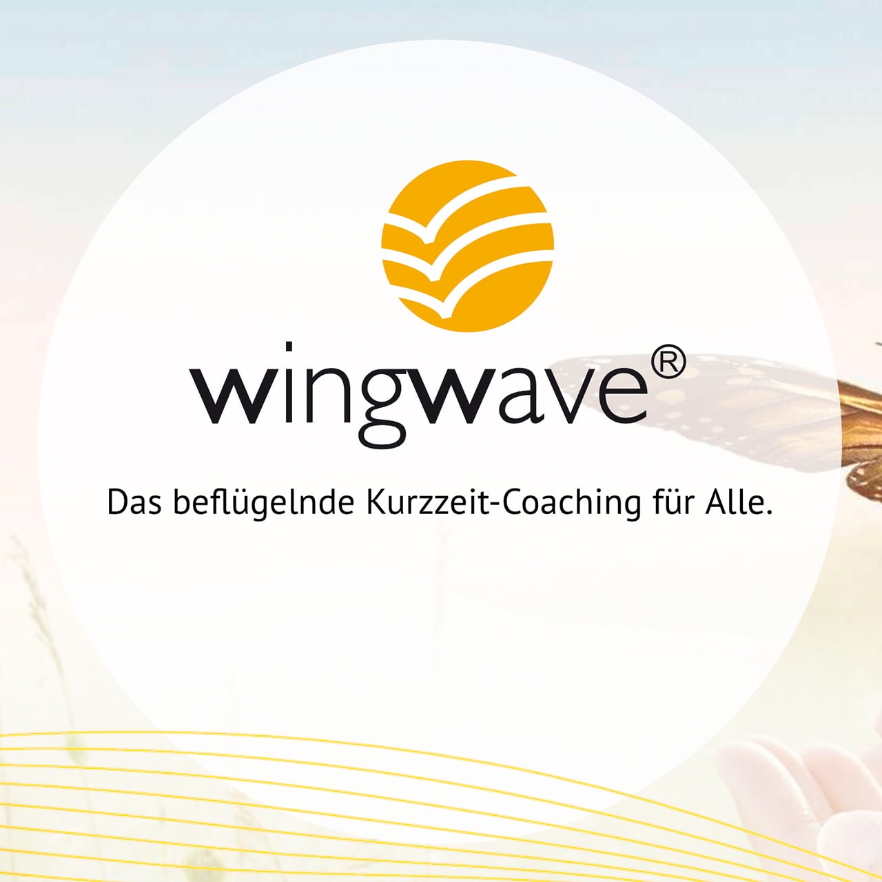 SCHIMANSKI WINGWAVE® Systemisches Kurzzeit Coaching